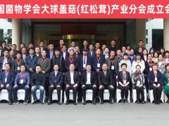 中國菌物學會大球蓋菇（紅松茸）產業分會成立會議 (7)